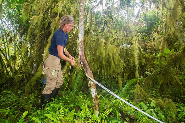 Heinke Jäger works on monitoring and controlling invasive species in Galapagos.