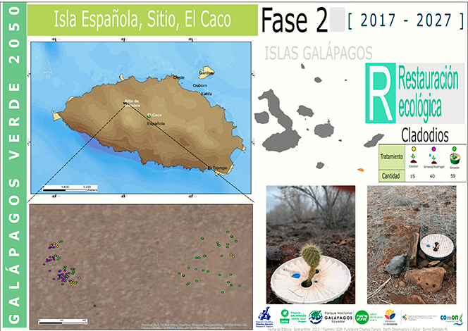 Location of the cladodes planted in Las Tunas, study area on Española Island.