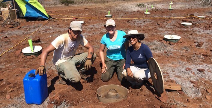 Project team and collaborators planting with Cocoon technology. Johanes Ramírez (GNP), Willemijn Stoffels (Land Life Company) and Patricia Jaramillo (Galapagos Verde 2050 project leader).