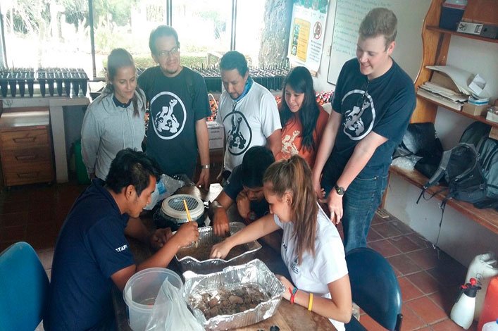 Separating organisms present in the soil with the support of national and international volunteers and field assistants of the Galapagos Verde 2050 Project.