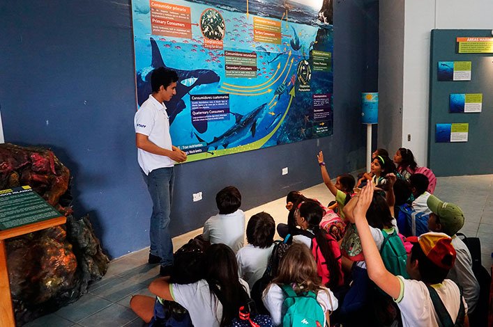 The 5th grade students of Tomás de Berlanga learn about marine ecology at the Marine World exhibition at the 