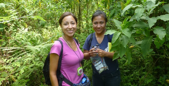 CDF entomologists working at Los Gemelos (Jaqueline Rodríguez and Denisse Barrera).
