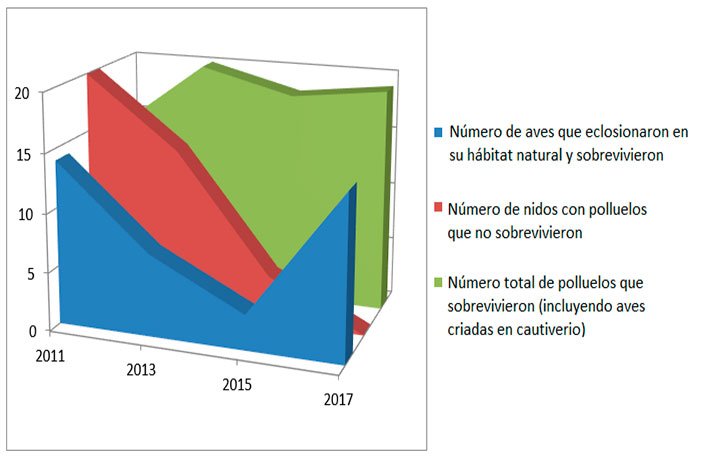 Gráfico de estadísticas sobre el pinzón de manglar entre el 2011 y el 2017.