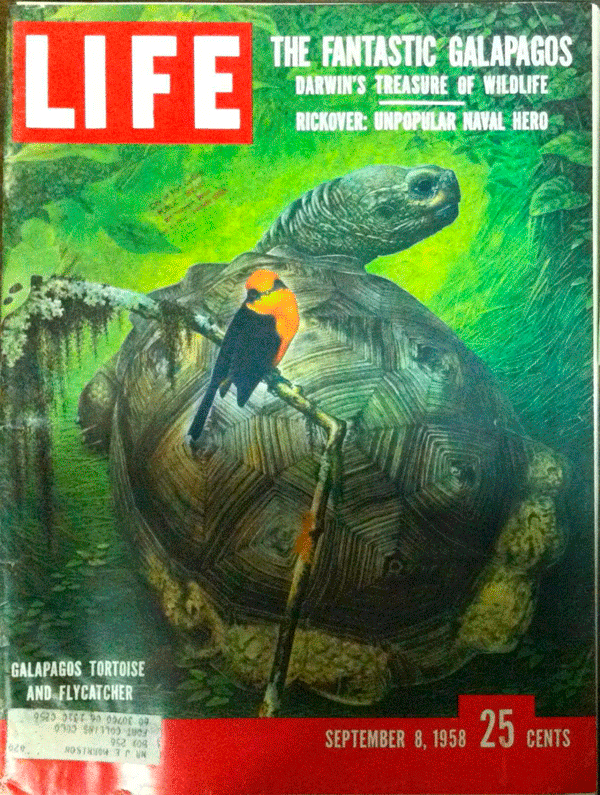 Life Magazine from September 8, 1958. Photo from: www.iberlibro.com