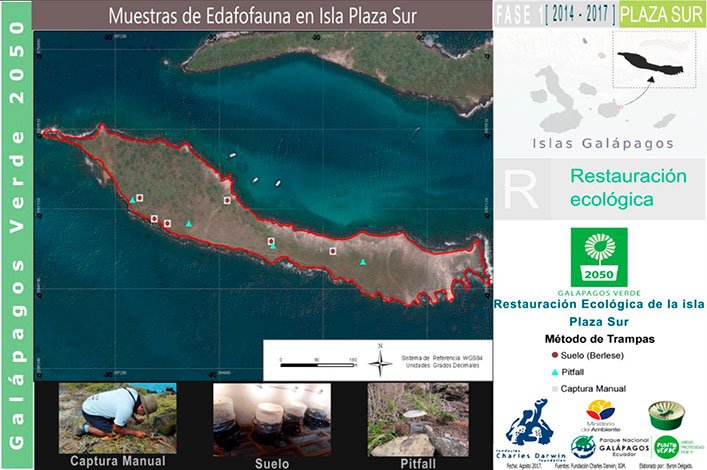 Mapping the distribution of traps on Plaza Sur Island.