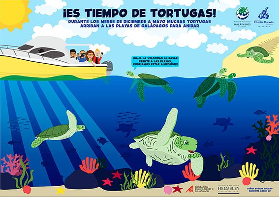 Poster Tortugas Marinas