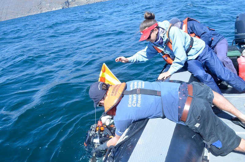 Shannon Nagy (FCD) y Katy Croff (MIT) Lanzando el sistema de cámaras en el fondo del mar